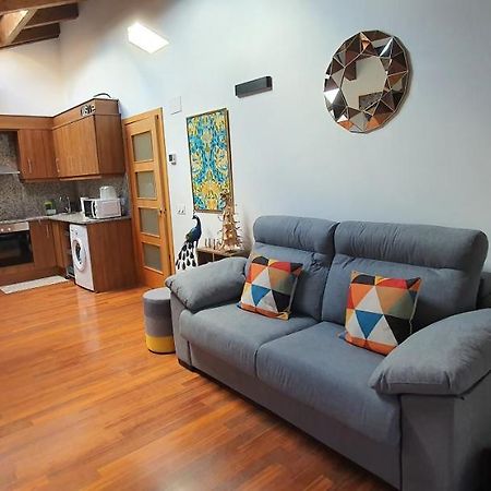 Cal Tranquil Camprodon, Acollidor Atic Al Centre Apartment Bagian luar foto