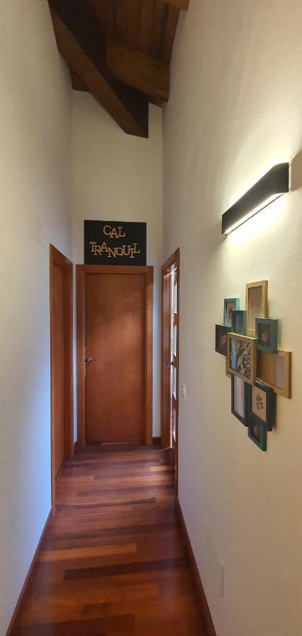Cal Tranquil Camprodon, Acollidor Atic Al Centre Apartment Bagian luar foto