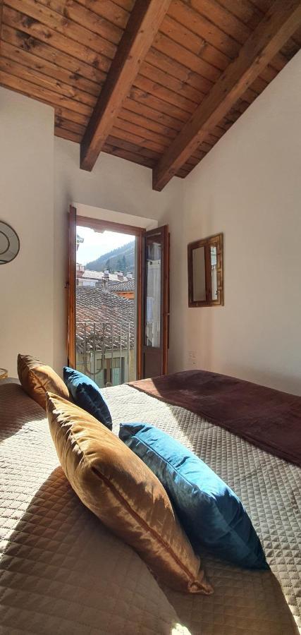 Cal Tranquil Camprodon, Acollidor Atic Al Centre Apartment Bagian luar foto